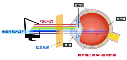 污污污软件下载最新科技成果 污污污视韩国美女直播成护眼利器 污污污软件下载最新科技成果 污污污视韩国美女直播成护眼利器